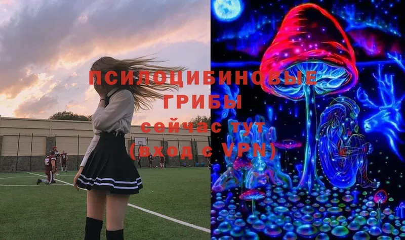 мега как зайти  Орехово-Зуево  Галлюциногенные грибы Magic Shrooms 